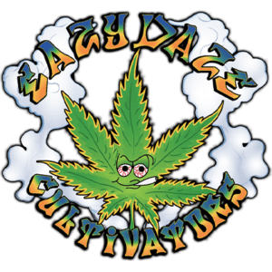 Eazy-daze-transparency-420