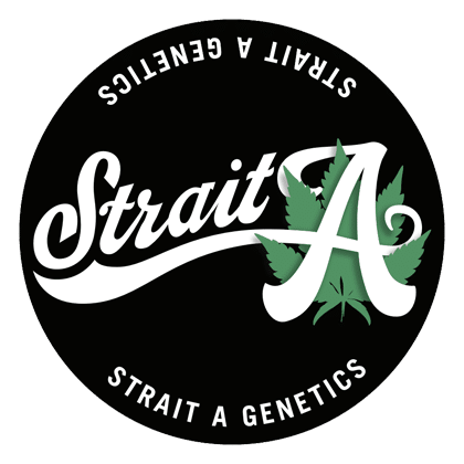 logo-420-straight-a-genetics