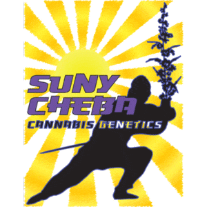 Logo-420-suny-cheeba-cannabis-genetics