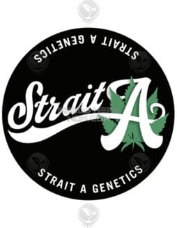 strait-a-genetics-ph