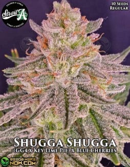 Strait A Genetics - Shugga Shugga {REG} [10pk]strait-a-genetics-shugga-shugga