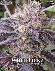WhiteLickz (Regular) - Envy Genetics
