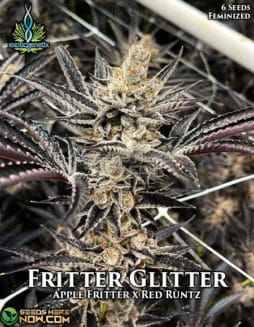 Exotic Genetix - Fritter Glitter {FEM} [6pk]Fritter Glitter