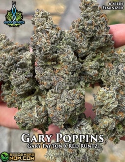 Exotic Genetix - Gary Poppins {FEM} [6pk]Gary Poppins