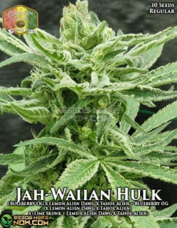 Hawaiian Budline - Jah-Waiian Hulk {REG} [10pk]hawaiian-budline-jah-waiian-hulk