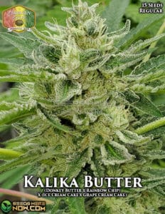 Kalika Butter (regular) - Hawaiian Budline
