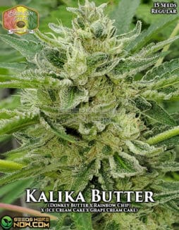 Hawaiian Budline - Kalika Butter {REG} [15pk]hawaiian-budline-kalika-butter