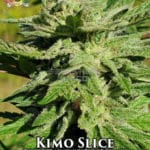 Kimo Slice (Regular) - Hawaiian Budline