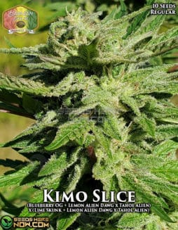 Hawaiian Budline - Kimo Slice {REG} [10pk]hawaiian-budline-kimo-slice