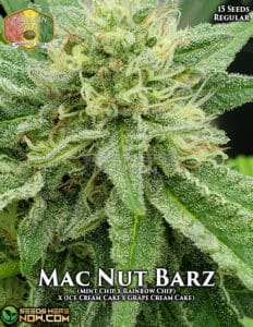 Mac Nut Barz (Regular) - Hawaiian Budline