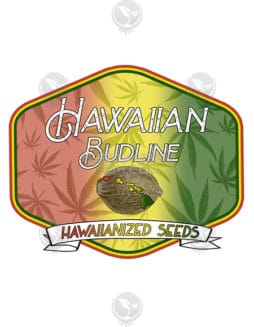hawaiian-budline-ph