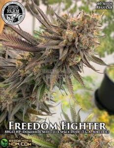 Freedom Fighter 2021 Limited Edition (regular) - Heroes of the Farm