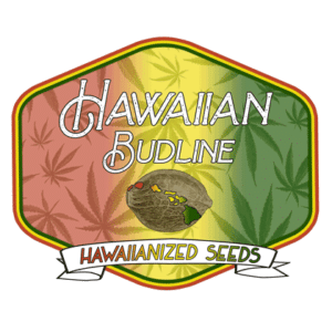 Logo-420-hawaiian-budline