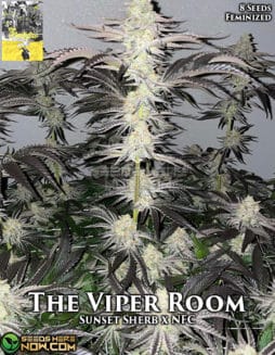 The Northfire - The Viper Room {FEM} [8pk]northfire-the-viper-room