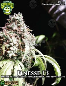 Finesse F3(autoflower) - Seattle Chronic Seeds