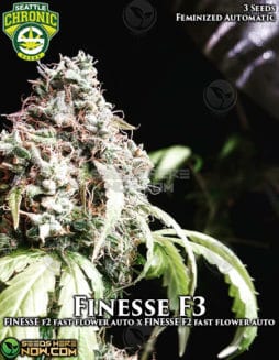 seattle-chronic-seeds-finesse-f3