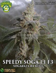 SPEEDY SOGA 1:1 F3(Autoflower) - Seattle Chronic Seeds