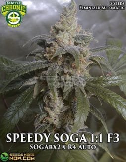 Seattle Chronic Seeds - SPEEDY SOGA 1:1 F3 {AUTOFEM} [5pk]seattle-chronic-seeds-speedy-soga