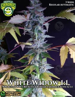 Seattle Chronic Seeds - White Widow 1:1 {AUTOREG} [3pk]seattle-chronic-seeds-white-widow