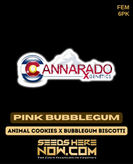 Cannarado Pink Bubblegum