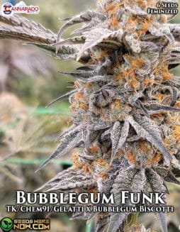 Cannarado Genetics - Bubblegum Funk {FEM} [6pk]cannarado-genetics-bubblegum-funk-fem