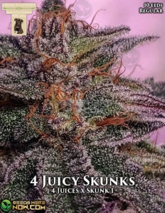 4 Juicy Skunks (Regular) - GibbsKutz Genetics
