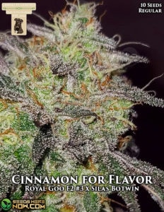 Cinnamon For Flavor (Regular) - GibbsKutz Genetics