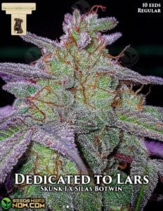 Dedicated To Lars (Regular) - GibbsKutz Genetics