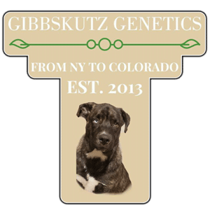 Gibbskutz-logo-transparency420