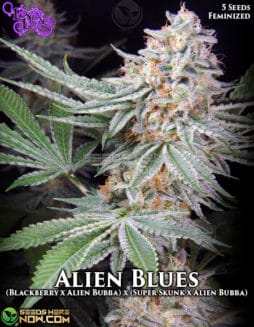 La Plata Labs - Alien Blues {FEM} [5pk]La-plata-labs-alien-blues-fem