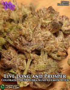 Live Long and Prosper (feminized) - La Plata Labs