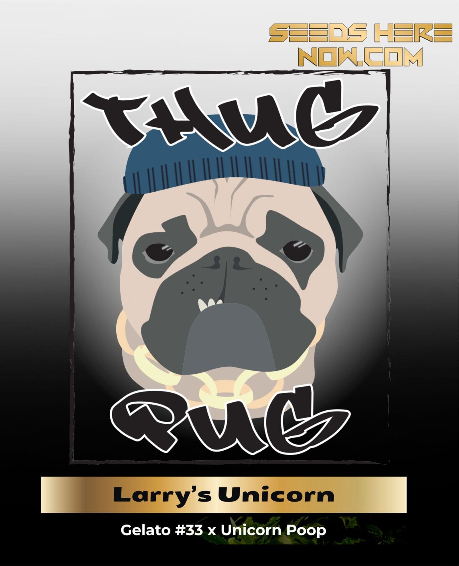 Larry's Unicorn (Regular) - Thug Pug Genetics