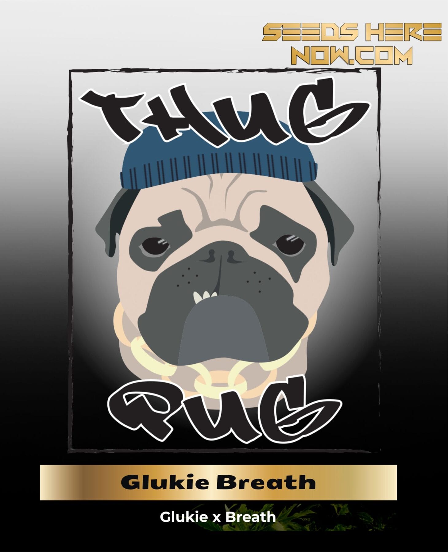Glukie Breath (Regular) - Thug Pug Genetics