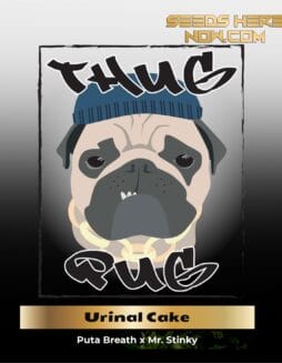 Urinal Cake (Regular) (space) Thug Pug Genetics