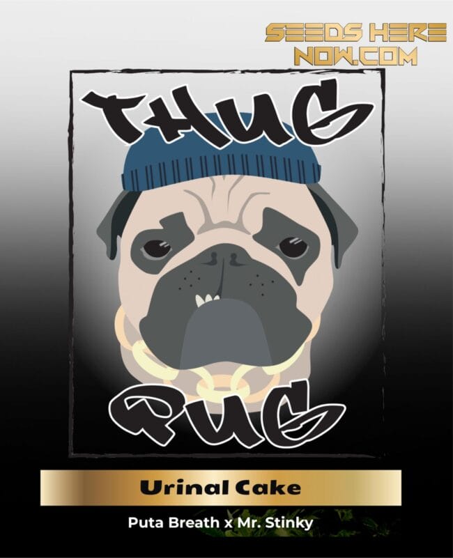 Urinal Cake (Regular) - Thug Pug Genetics