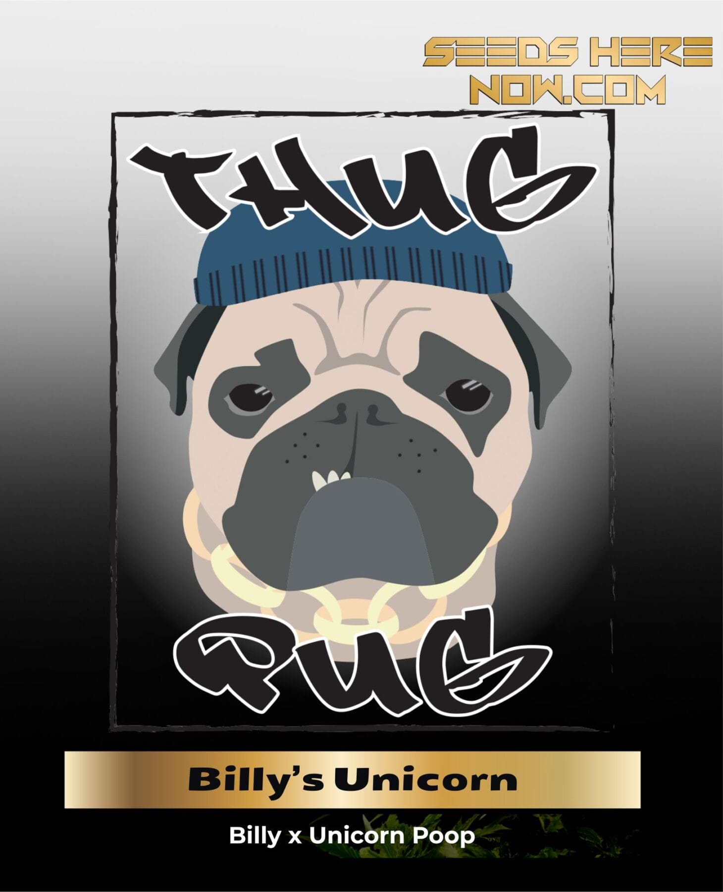 Billy's Unicorn (Regular) - Thug Pug Genetics
