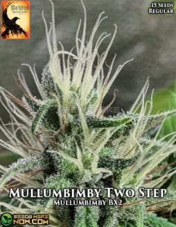 Blackbird Preservations - Mullumbimby Two Step {REG} [15pk]blackbird-mullumbimby-two-step