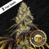 French Cookies 710 Bonus Pack (Feminized) (space) T.H. Seeds