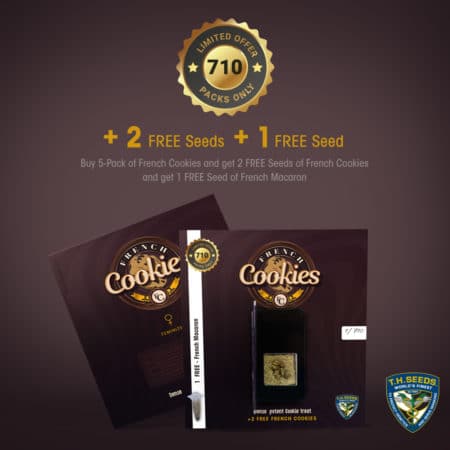7 T.h.seeds- French-Cookies 710 Promo-Cards 2