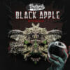 Black Apple Hitchcock Bonus Pack (feminized) - T.h. Seeds