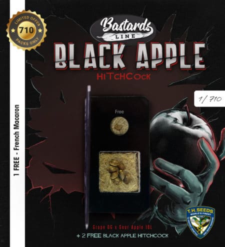 T.h.seeds Black-Apple-Hitchcock-710 Card