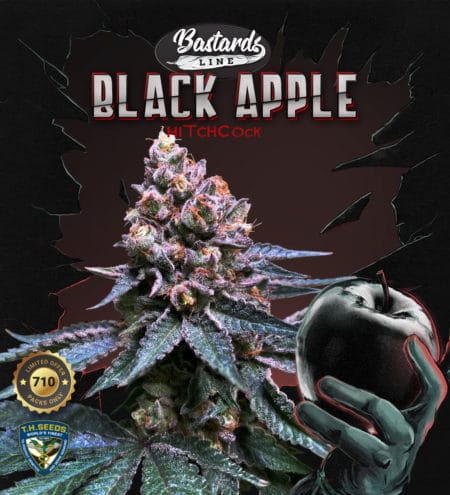 T.h.seeds Black-Apple-Hitchcock-710-Promo
