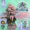 London Mint Cake Bonus Pack (feminized) - T.h. Seeds