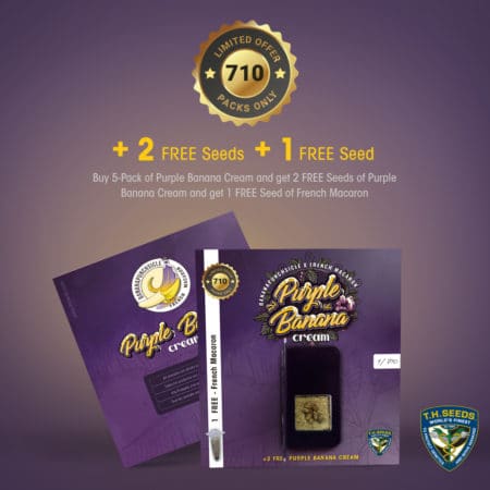 T.h.seeds -Purple-Banana-Cream- 710 Cards
