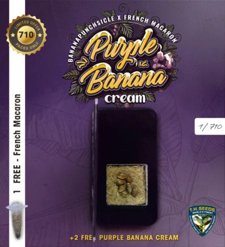 T.h.seeds -Purple-Banana-Cream- Preview