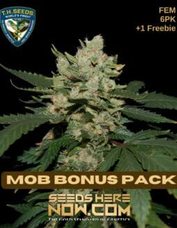 T.H. Seeds - MOB Bonus Pack {FEM} [6+1pk]TH Seeds MOB Bonus Pack