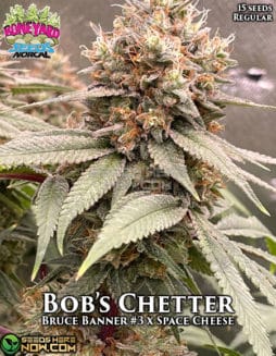 Boneyard Seeds - Bob's Chetter (AKA Mr. From Undda) {REG} [15pk]boneyard-seeds-bobs-chetter