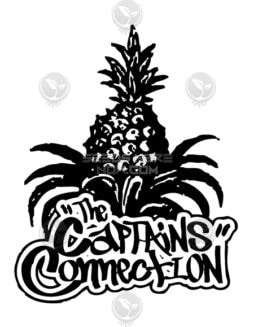 The Captain's Connection - Powpaya F3 {REG} [10pk]Gwiz F3