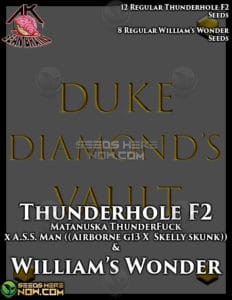 Thunderhole F2 + William's Wonder (regular) - Duke Diamond Vault
