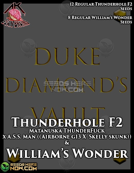Duke-Diamond-Vault-Akbb-Thunderhole-F2-Williams-Wonder